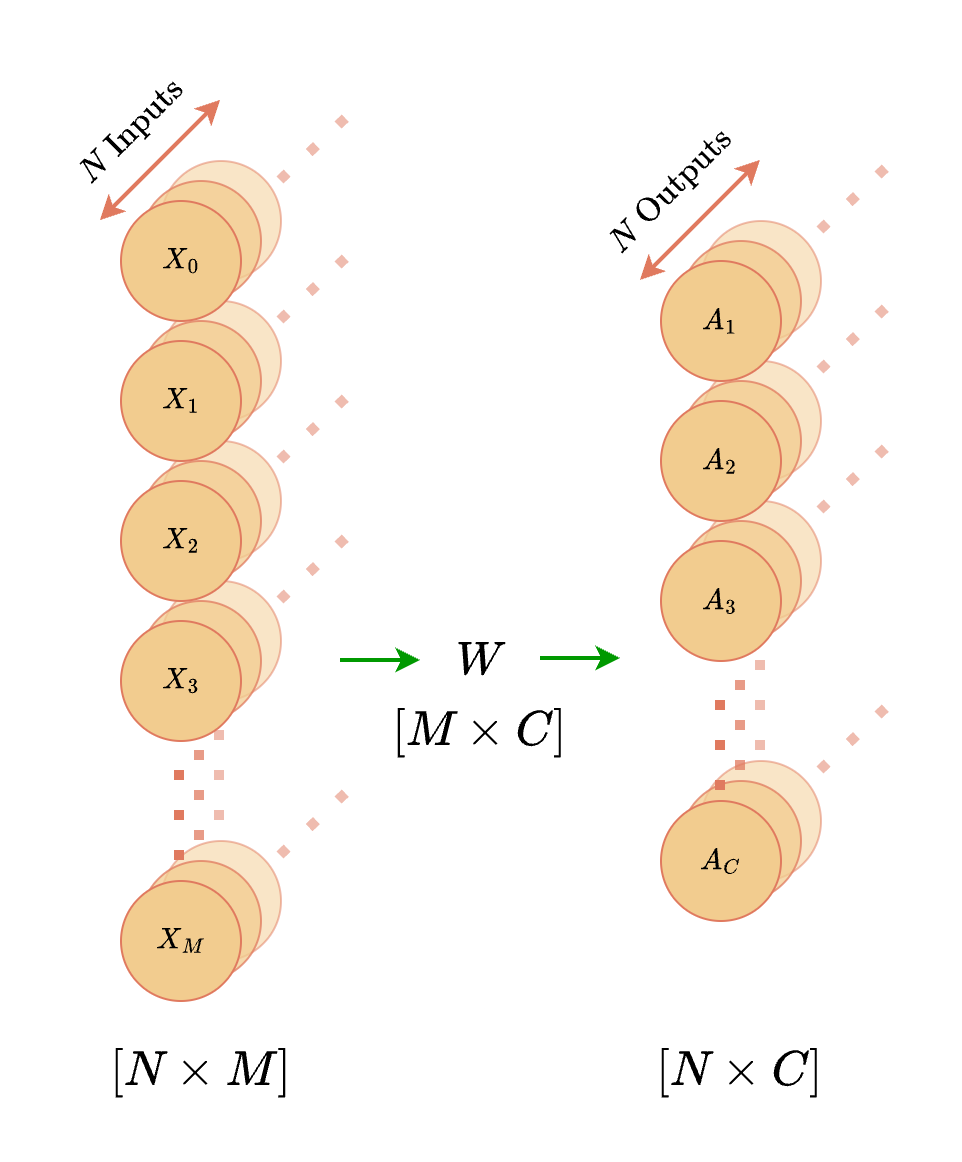 Net5